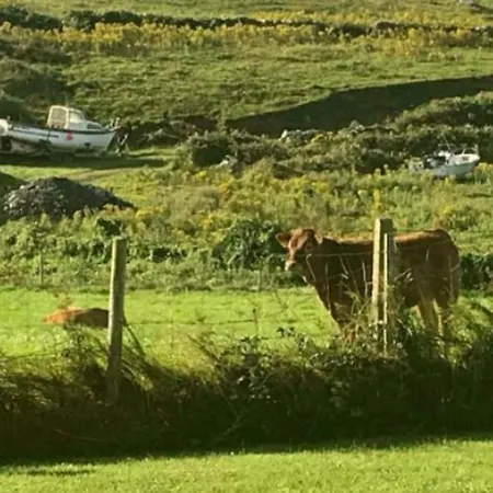 Vakantiehuis Luxurious Property, Paddy's Haven, Wild Atlantic Way, County Clare