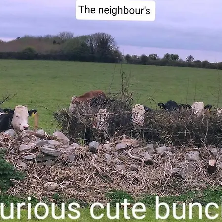 Casa vacanze Luxurious Property, Paddy's Haven, Wild Atlantic Way, County Clare *