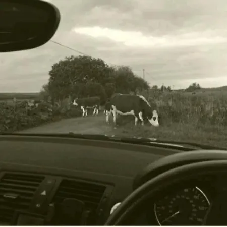 Luxurious Property, Paddy's Haven, Wild Atlantic Way, County Clare Casa vacanze