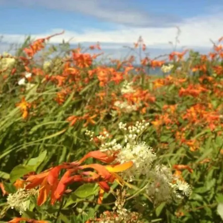 Casa vacanze Luxurious Property, Paddy's Haven, Wild Atlantic Way, County Clare *