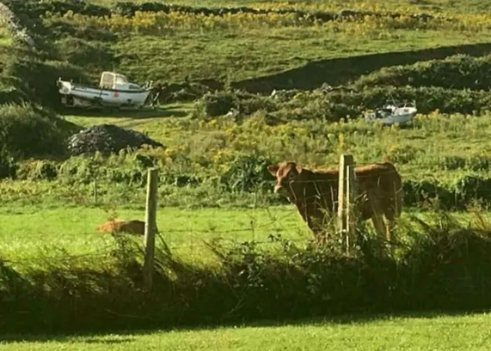 Ferienhaus Luxurious Property, Paddy's Haven, Wild Atlantic Way, County Clare