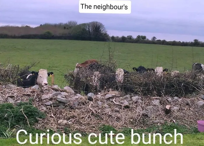 度假居 Luxurious Property, Paddy's Haven, Wild Atlantic Way, County Clare *