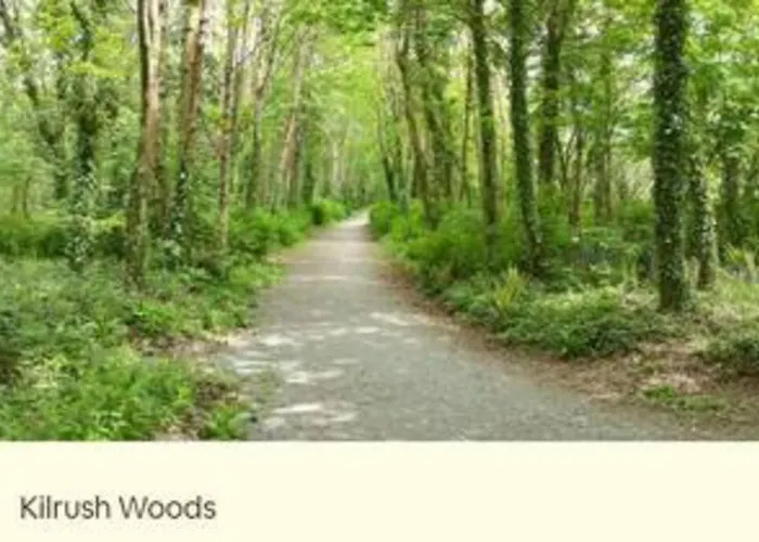 Luxurious Property, Paddy's Haven, Wild Atlantic Way, County Clare 基尔拉什