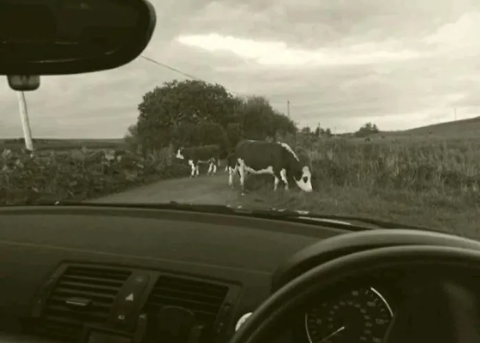 Luxurious Property, Paddy's Haven, Wild Atlantic Way, County Clare 度假居