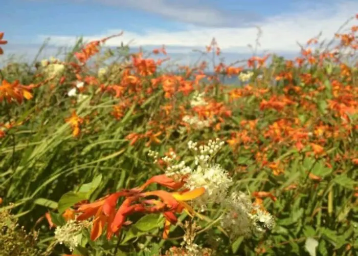 Prázdninový dům Luxurious Property, Paddy's Haven, Wild Atlantic Way, County Clare *